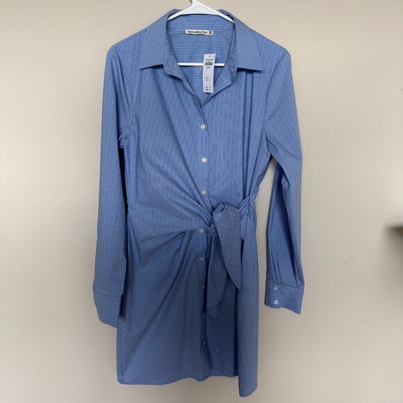 Abercrombie Womens Shirt Dress M Tall Striped Citycore Preppy Academia Capsule - Picture 2 of 7
